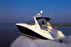 searay335_1