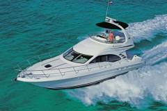 searay455