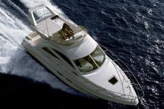 sealine_f34_1